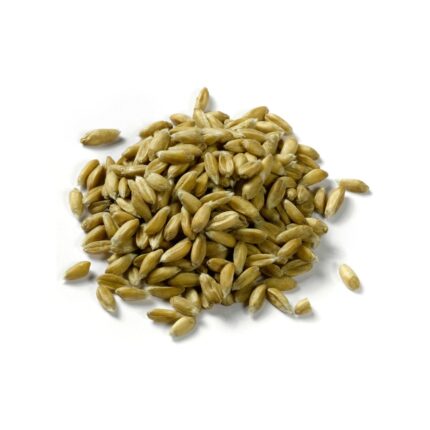 Bio Dinkel Körner (Sack 5kg)