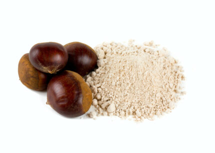 Bio Kastanienmehl (Sack 2.5kg)